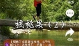 听潮阁画家爆料视频下载,艺术界幕后风云大起底