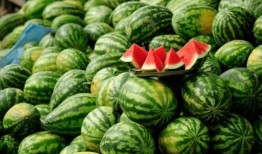 吃瓜网红叫什么,揭秘吃瓜网红的传奇人生